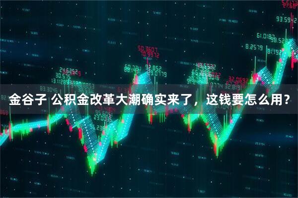 金谷子 公积金改革大潮确实来了，这钱要怎么用？